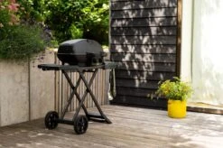 Napoleon Gasbarbecue Phantom TravelQ Pro285 Zwart 112 X 51 X 131 Cm -Barbecue Gereedschaps Winkel 0629162139429 6