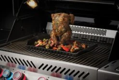 Napoleon Grillplaat Met Kiphouder 48 X 25 X 5 Cm -Barbecue Gereedschaps Winkel 0629162701503 4