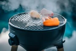 Cadac Elektrische Barbecue E-braai 40 FS Zwart -Barbecue Gereedschaps Winkel 6001773118705 6