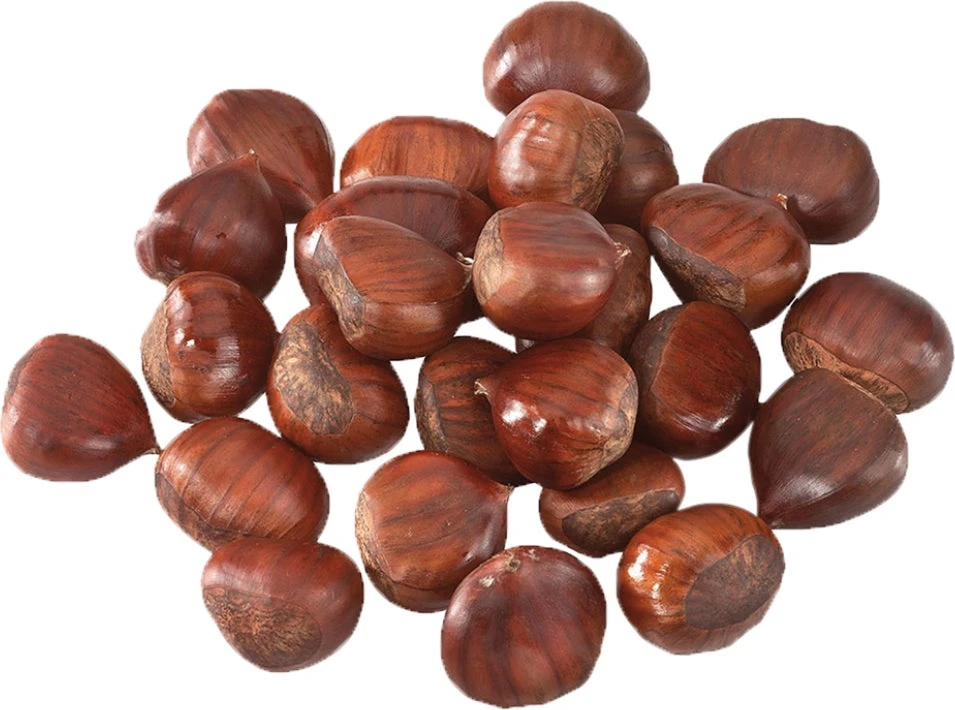 Esschert Design Kastanjepan Zwart 27 X 77,7 X 8,6 Cm 4 Esschert Design Kastanjepan Zwart 27 X 77,7 X 8,6 Cm - Afbeelding 2