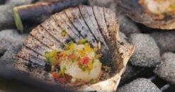 Echt Briketten 5,5 Kg -Barbecue Gereedschaps Winkel 8718868744111 3